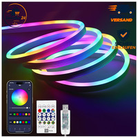 LED Strip 5M RGB IC Smart App Dynamische Farben Beleuchtung Deko
