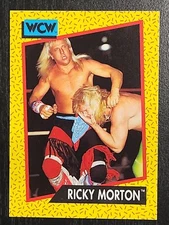 1991 Impel WCW Wrestling #100 Ricky Morton