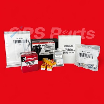 Mercury Maintenance Kit 300 Hour- 25/30 EFI Part # 8M0220189 - New
