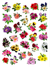 BEAUTIFUL FLOWER STICKERS Roses Lilies Petunias USA MADE 59B FAST USA SHIPPING