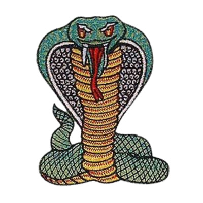 COBRA HAT PATCH CAP WILDLIFE HUNTER NATURE ANIMALS PETS RESERVES GIFT USA WOW