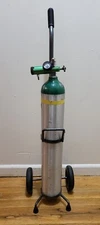 Praxair Empty Oxygen Tank With Regulator,Cart-Size E & Lot Of 7 Cannula(Bundle)