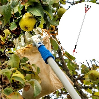 Obsterntegerät mit drei Krallen stabil für Mango Birnen bekommen