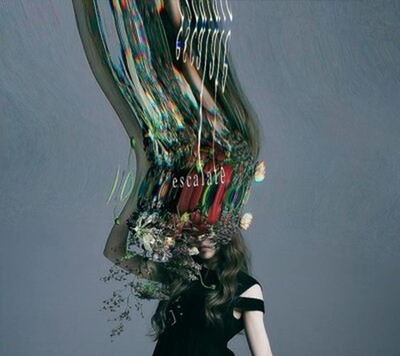 Aimer-escalate First Limited Edition-Japan CD DVD From Japan