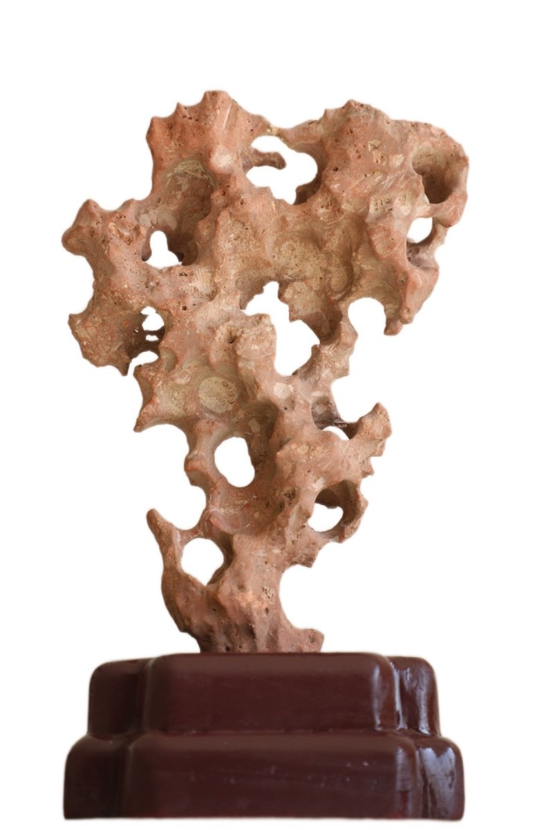 Chinese Scholar Rock Taihu stone Suiseki Zen wood Base Art Home