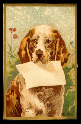 FRANZÖSISCHER JAGDHUND GRAND GRIFFON HUND KUNST HANDELSKARTE - französisch - um 1890