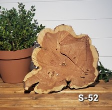 RED CEDAR WOOD COOKIE 15X13x2.5" Live Edge, Vibrant Aroma And Rustic Look