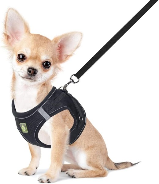 Feimax Hundegeschirr Mit Leine FüR Kleine Mittele Hunde Katzen Weich Mesh-image