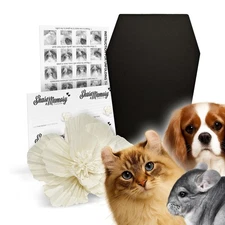 Pet Coffin for Dogs and Cats, Elegant Burial Box with Floral Arrangement and ...