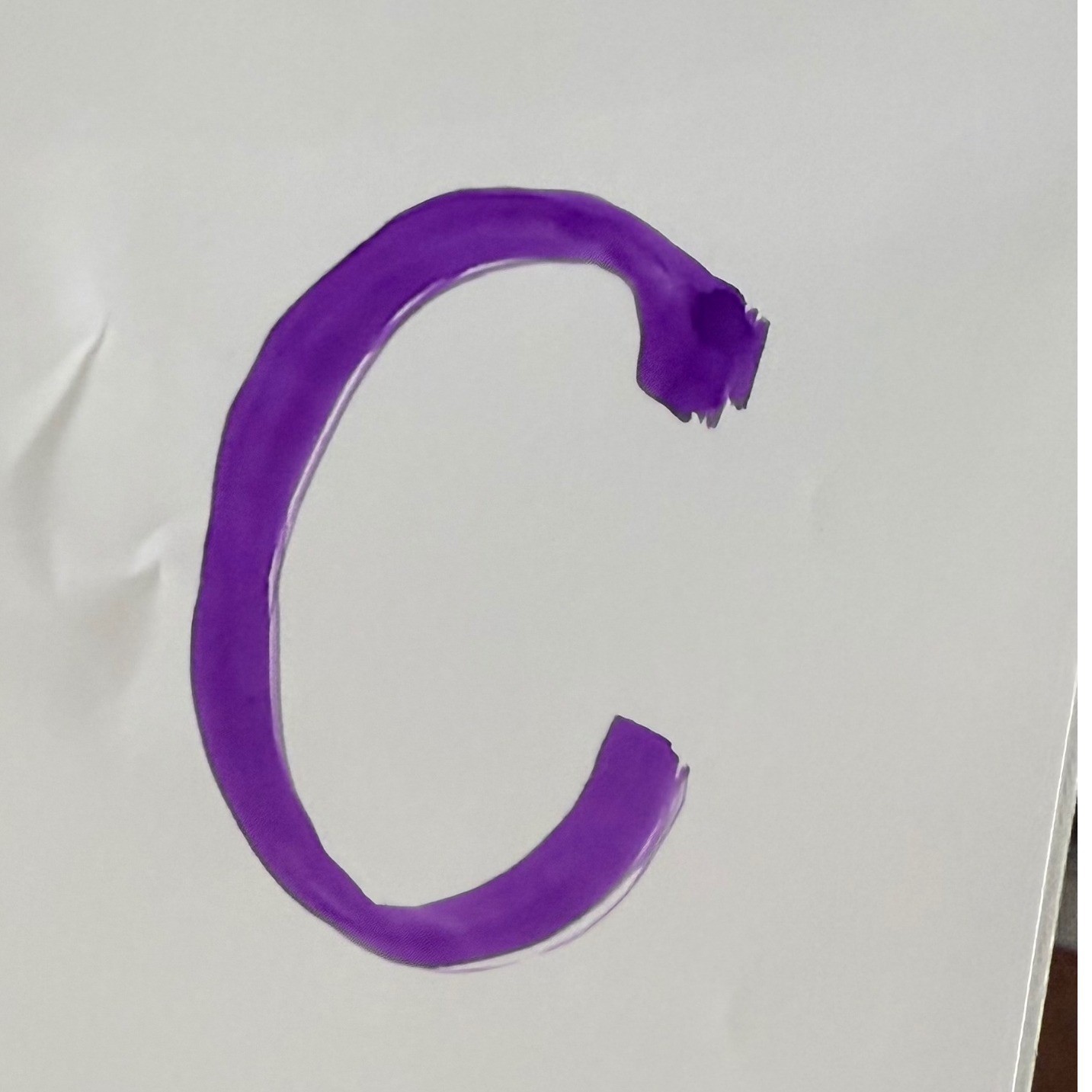 Ruby Rd Snake Print Zip Front Jacket Blazer Women… - image 11