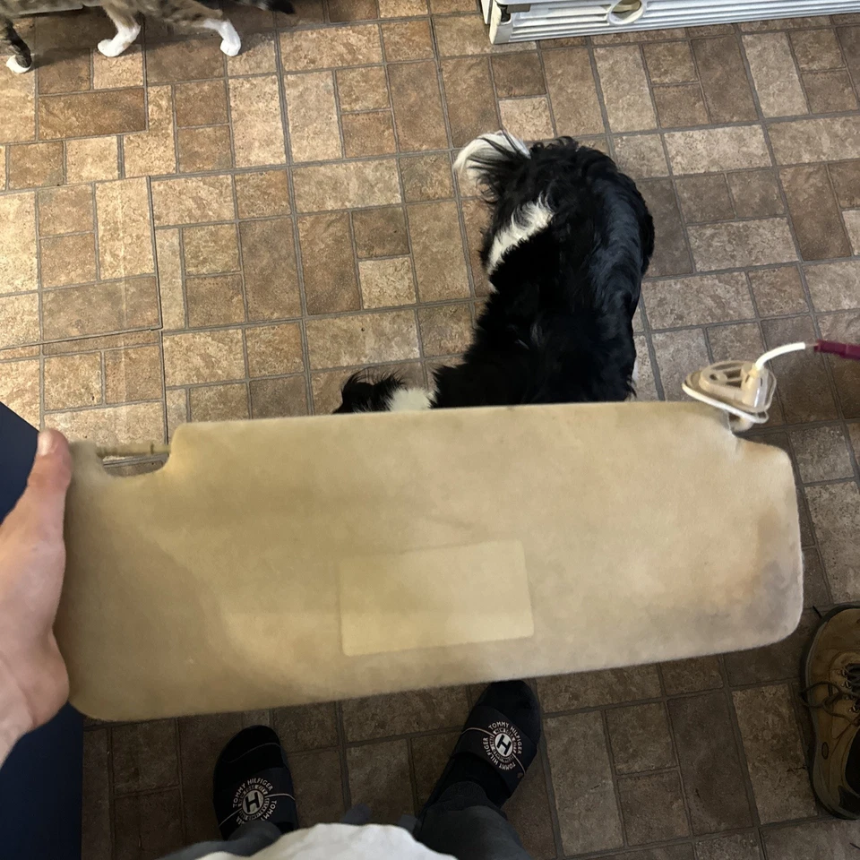 02-08 e65 E66 BMW 745I 750LI 760I PARASOLES PAR GAMUZA ALCANTARA beige Foto 3 de 4