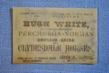 Hugh White Importer of Clydesdale & Percheron-Norman Horses Celluloid Card