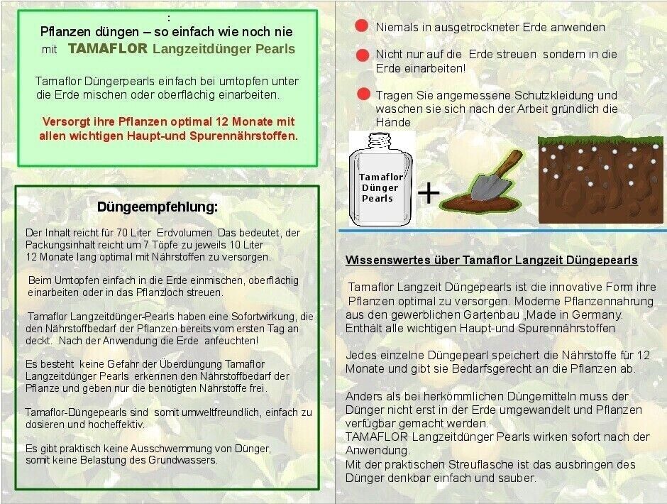 Bild 3 von 6