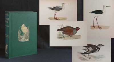 MORRIS Historiy of British Birds 4. Band 1903 68 kolorierte Tafeln Ornithologie