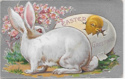 Vintage Easter Postcard Large Rabbit Eyes Chick Hatching Egg Apple Blossom c1908