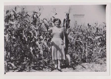 Pretty Attractive Young Woman Cute Female Waits Where the Corn Whispers Photo