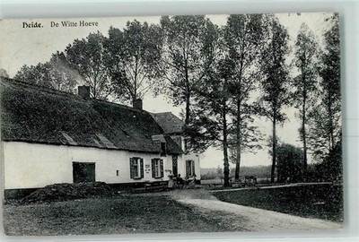 10438129 - Heide De Witte Hoeve Limburg (NL) 1912