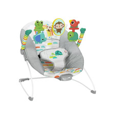 Bright Starts 13070 Playful Paradise Vibrating Baby Bouncer, Unisex, Newborn
