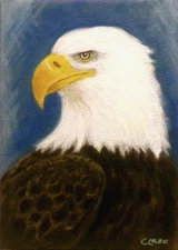 Bird Bald Eagle Original Painting by Chris Miller 5x7 Wildlife Wall Art Signed