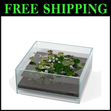 Glass Air Aquarium Tank 1.6Gal Rimless Landscape