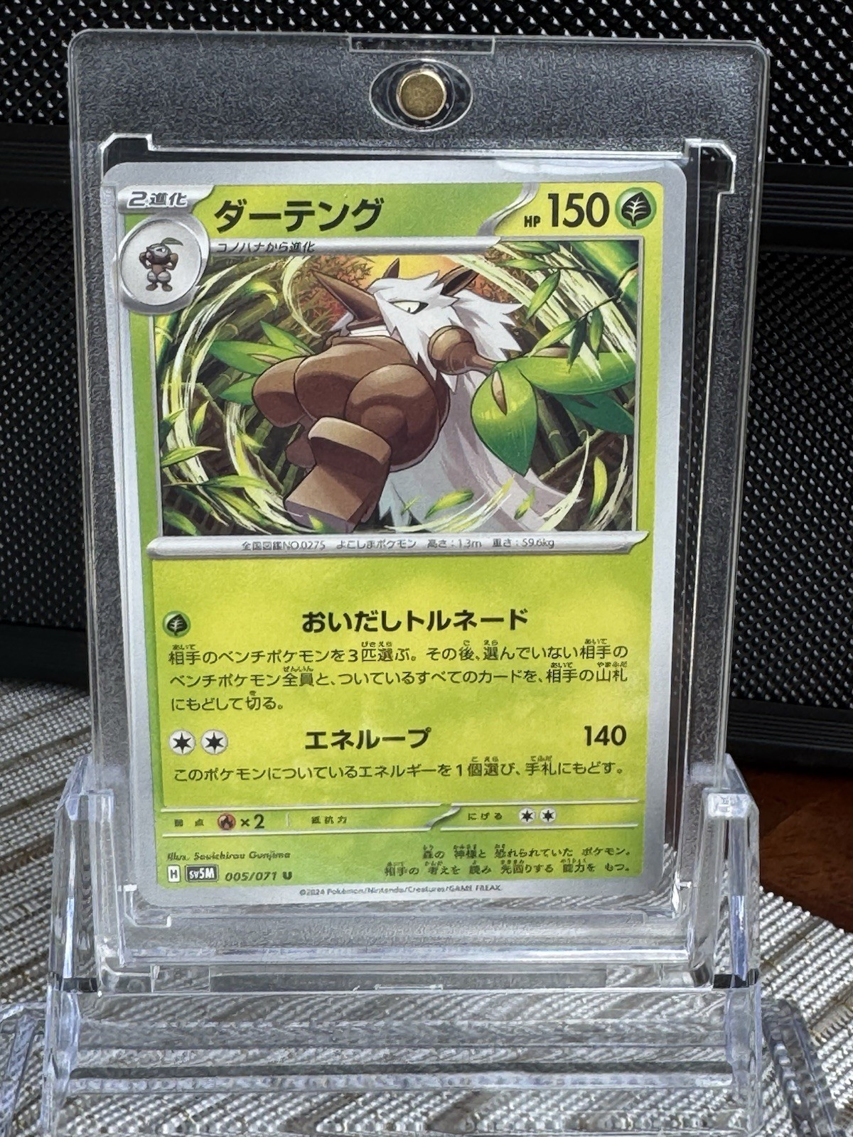Pokémon TCG Shiftry 005/071 Sv5m Cyber Judge 2024 Stage 2 Uncommon 150 HP