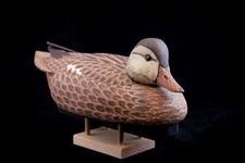 Handcarved handpainted Gadwall duck gunning decoy by William E. Powell