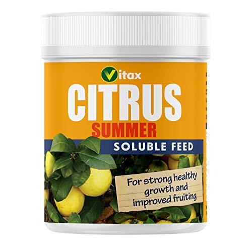 Vitax 200g Citrus Feed for Summer