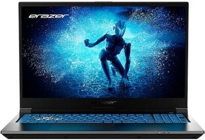 Medion Erazer Deputy P60 MD62624, Gaming Notebook, 15,6 Zoll, 1 TB SSD, 16 GB 