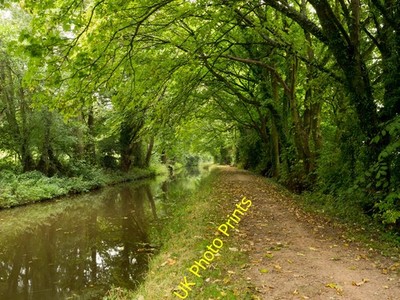 Photo 6x4 Monmouthshire & Brecon Canal heading north Beili-glas The Monmo c2016