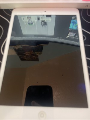 iPad Mini 1st Gen FMI On
