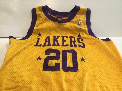 Nike Los Angeles Lakers Gary Payton #20 Rewind Basketball