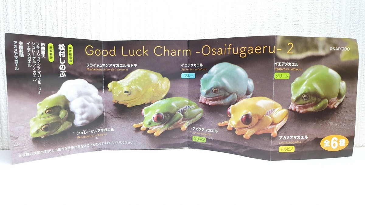Kaiyodo Good Luck Charm FLEISCHMANN'S GLASS FROG northern animal