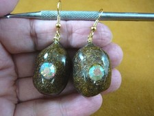 PP1-47 Real MOOSE POOP bling Aurora Borealis doo gold dangle earrings WEIRD poo