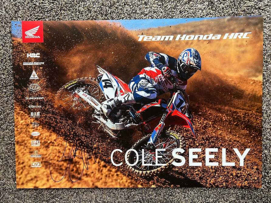 cole seely adidas