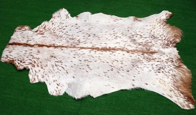 Luxus Ziegenfell Teppich Haar auf Fläche Teppich Größe 40''x24'' Tierleder Ziegenfell G20