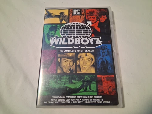 Wild Boys The Complete First Season 2003 DVD 2-Disc