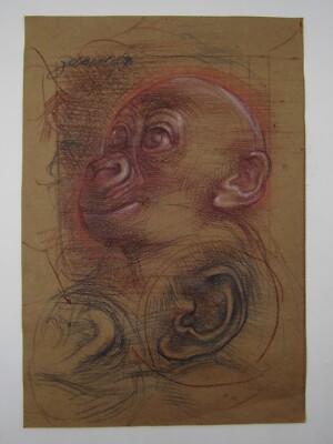 Signed mixed media drawing young monkey/ape head study ear details 7x10''