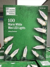 Home Accents Holiday 100 LED Warm White String Lights