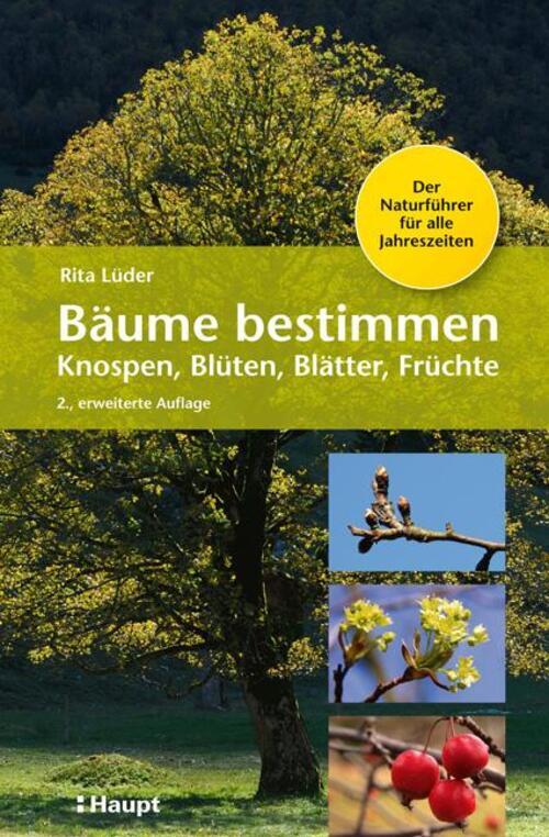 Thumbnail - Bäume Bestimmen - Knospen, Blüten, Blätter, Früchte | Rita Lüder |
