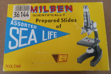 Vintage Milben Scientifically Prepared Slides ASSORTED SEA LIFE No. 706
