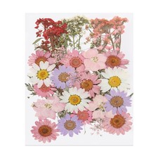 37 Teile getrocknete Bl&uuml;ten f&uuml;r Resin, rosa Pressblumen