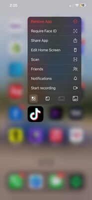 iphone 12 pro max With TikTok