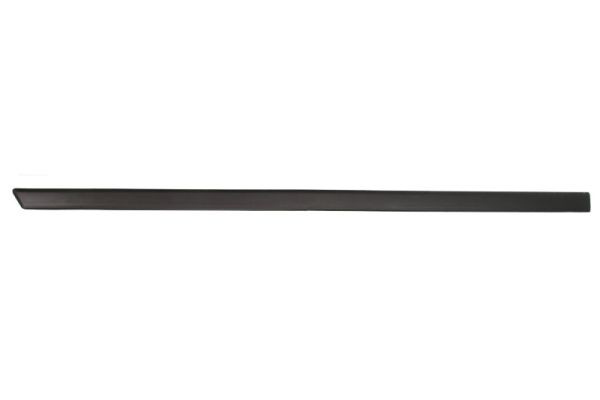 Left Front BLIC 5703-04-2564575P Trim/Protection Strip, wing for FORD