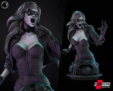 Black Canary Bust Birds of Prey Batman DC Resin Model Kit B3DSERK