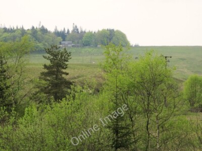 Photo 6x4 Middle Shield Green Jamie's Hill Sike  c2011