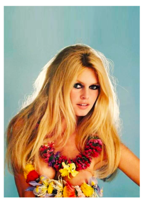 BRIGITTE BARDOT 5