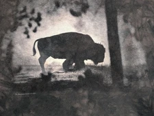 The Mountain Men's T-shirt Brown Silhouette Of A Bison RL XL #2786 NWOT