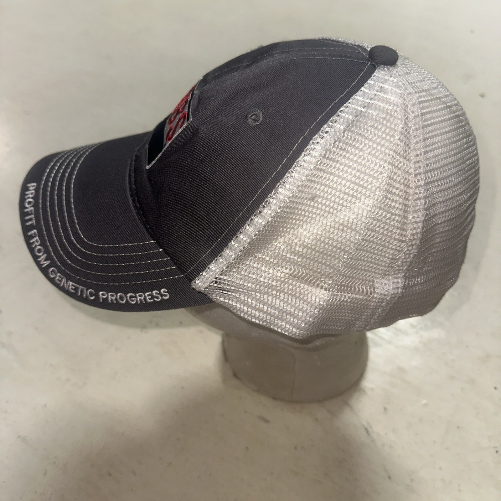 ABS Profit From Genetic Progress Strapback Hat Ca… - image 6