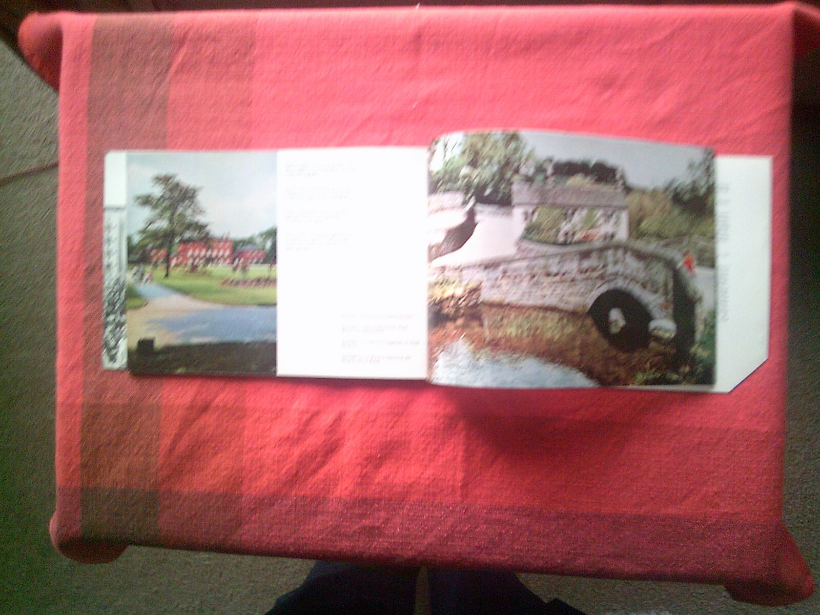 Picture 6 of 8