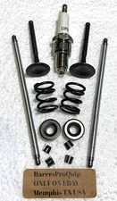 Predator Hemi 212cc RACE Stainless Valve Upgrade Split Lock w/Pushrods & Springs